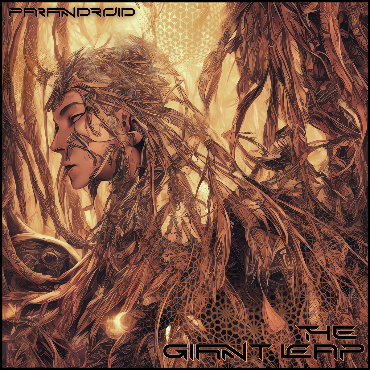 The giant leap by parandroid graphic album art