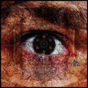 Web-PÜsy-Renn I LOVE LSD by Parandroid