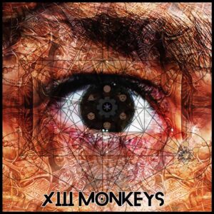 XIII MONKEYS - Psychedelic Renaissance